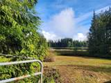 27525 Lake Riley Road - Photo 9