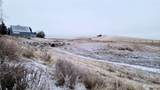 27750 Evers Road - Photo 39