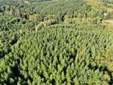 0 Off of Butte Creek Road - Photo 3