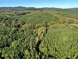 0 NKA Butte Creek Road - Photo 7