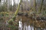 0 NKA Butte Creek Road - Photo 8
