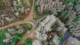 275 Trout Lakes Road - Photo 12