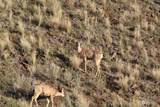 0 Lot 51 Bodie Dr - Photo 34
