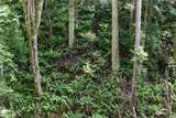 2190 Chuckanut Drive - Photo 11