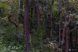 2190 Chuckanut Drive - Photo 14