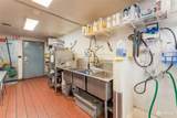 805 Basin Street - Photo 18