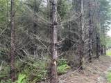 3 XX Centralia Alpha Road - Photo 8