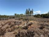 3 XX Centralia Alpha Road - Photo 10