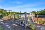 555 S Gold Street - Photo 34