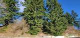 120 Pattison Street - Photo 2