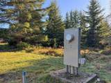 42 Windflower Lane - Photo 14