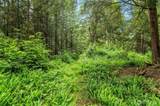 11720 Woods Lake Rd - Photo 39