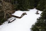 11720 Woods Lake Rd - Photo 9