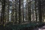 0 105.33 Lincoln Creek Road - Photo 25