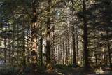 0 105.33 Lincoln Creek Road - Photo 26
