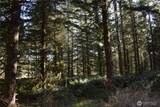 0 105.33 Lincoln Creek Road - Photo 27