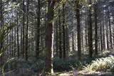 0 105.33 Lincoln Creek Road - Photo 36