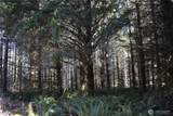 0 105.33 Lincoln Creek Road - Photo 37