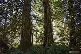 0 105.33 Lincoln Creek Road - Photo 38