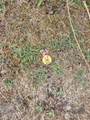 34515 I Street - Photo 22