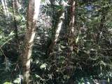 2800 Westwood Drive - Photo 14