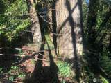 2800 Westwood Drive - Photo 17
