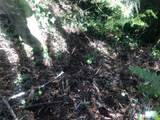 2800 Westwood Drive - Photo 18