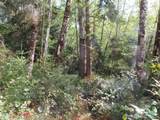 0 Tract 2 State Route 101 - Photo 17