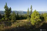 46 Trailblazer Way - Photo 35