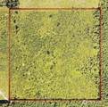 0 40 Acres 185th Avenue - Photo 11