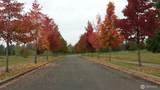 110 Sequoia Lane - Photo 19