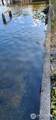 8642 Island Drive - Photo 4
