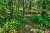 189 xx 209th Avenue - Photo 23
