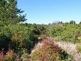 470 Sand Dune Avenue - Photo 8