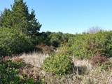 470 Sand Dune Avenue - Photo 9