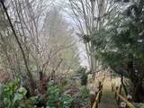 2459 Bretland Road - Photo 17