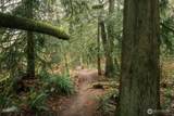 950 Yew Street - Photo 12