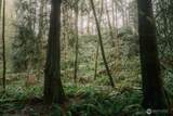 950 Yew Street - Photo 15