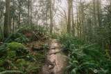 950 Yew Street - Photo 22
