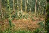 0 Lopez Street - Photo 14