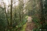 0 Lopez Street - Photo 25