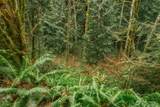 0 Lopez Street - Photo 26