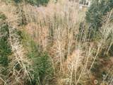 0 Lopez Street - Photo 38