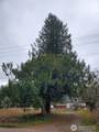 7740 196th Avenue - Photo 27