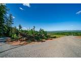0 Silver Lake Lot #1 Road - Photo 1
