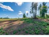 0 Silver Lake Lot #1 Road - Photo 4