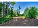 0 Silver Lake Lot #1 Road - Photo 6