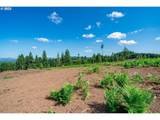 0 Silver Lake Lot #4 Road - Photo 10
