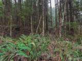 0 TR 15 Salal Drive - Photo 1
