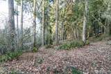 0 Lemolo Shore, Parcel 3-006 Drive - Photo 7